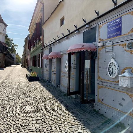 Schiller Apartment - Old Town Sibiu Dış mekan fotoğraf
